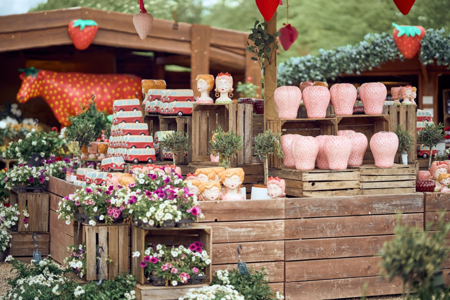 Geschäftsräume: Warenpräsentation und Ambiente im Gartencenter Gertrudenhof